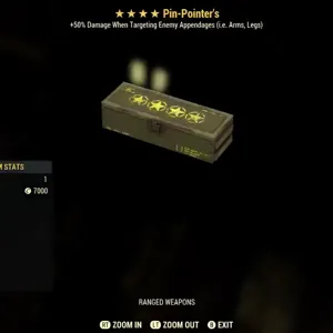 Pin Pointer Mod