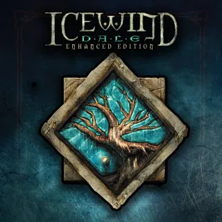 Icewind Dale: Enhanced Edition Steam key (global, automatic delivery)