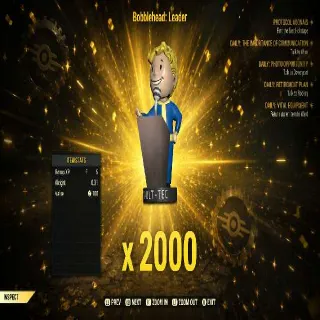 Leader Bobbleheads