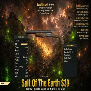 Salt Of The Earth