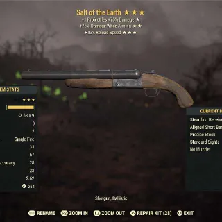 Salt Of The Earth