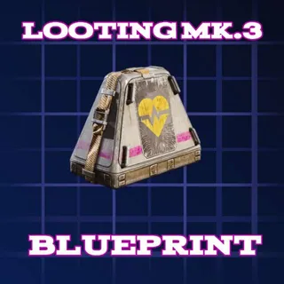 Looting MK.3(SURVIVOR)BLUEPRINT