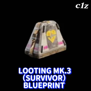 Looting MK.3(SURVIVOR)BLUEPRINT