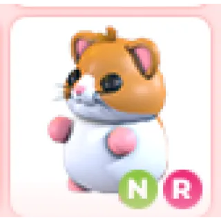 HAMSTER NR