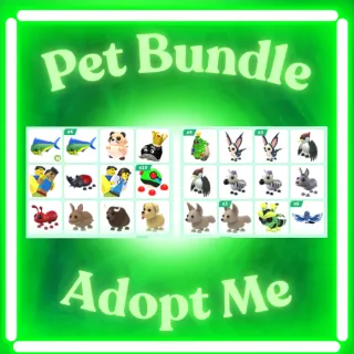 Pet Bundle