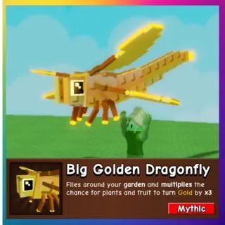 Big Golden Dragonfly
