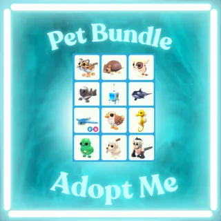 x12 Pet Bundle