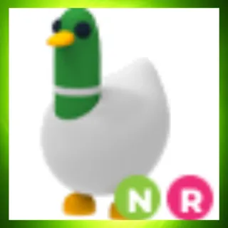NR Silly Duck
