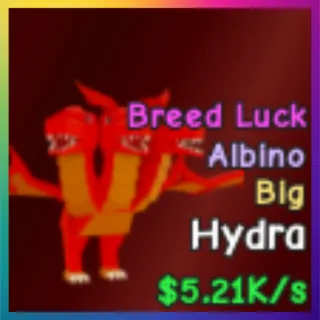 Albino Big Hydra