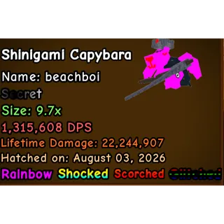 1.3M DPS RB Glitched Shinigami Capy