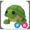 CHEAPEST FR TURTLE (FLY RIDE) | CHEAP FLY RIDE PET ADOPT ME