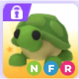 CHEAPEST NFR TURTLE (NEON FLY RIDE) | CHEAP FLY RIDE PET ADOPT ME (CHECK MY PROFILE FOR MORE!)