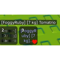 รายการภาพถ่าย