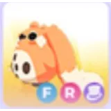 CHEAPEST FR CABBIT (FLY RIDE) | CHEAP FLY RIDE PET ADOPT ME