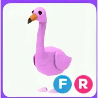 CHEAPEST FR FLAMINGO (FLY RIDE) | CHEAP FLY RIDE PET ADOPT ME