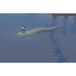 CHEAPEST BLOOP BOAT | CHEAP FISCH BOAT (CHECK MY PROFILE FOR MORE!)