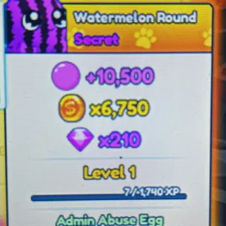 Shiny Watermelon Round