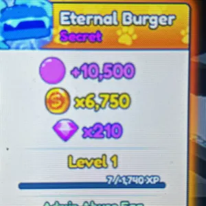 5x Shiny Eternal Burger