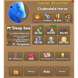 Deep Sea Clyde | Wild Horse Islands