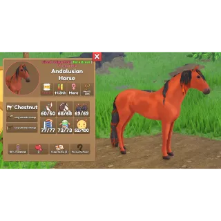 IUH - Andalusian Volcanic Orange