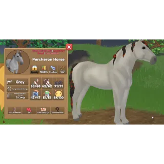 IUH - Grey Percheron Volcanic Orange