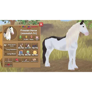 Mismatch - Friesian Black Splash