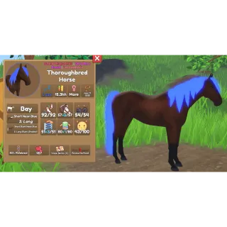 IUH - Thoroughbred Neon Blue