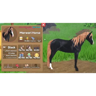 IUH - Marwari Limestone