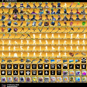 Fortnite wildcat account