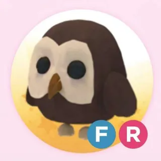 FR OWL