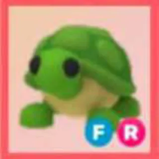 TURTLE| FR
