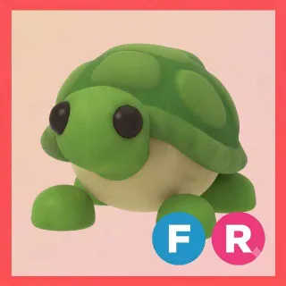 FR TURTLE