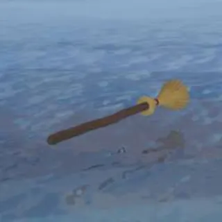 Witch's broom boat - fisch