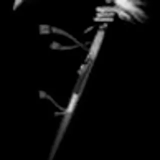 MORTISFALX ROD SKIN - FISCH