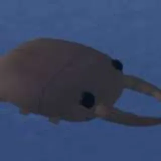 TUBERT BEETLE BOAT - FISCH