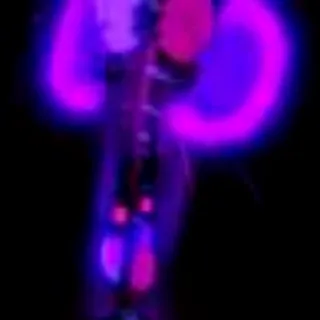 VOIDED FABULOUS ROD SKIN - FISCH