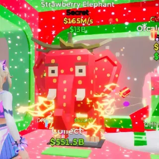 Strawberry Elephant (165M/S)