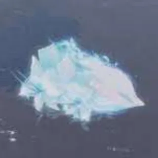 LILY OF GLACIA BOAT - FISCH