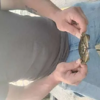 (XBOX) ~ Cornbread#2926