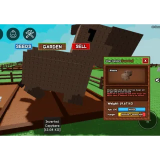 HUGE + MEGA CAPYBARA + MASSIVE BONUS + FAST DELIVERY - GROW A GARDEN 