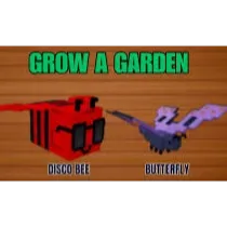 DISCO BEE + BUTTERFLY + MASSIVE BONUS + FAST DELIVERY - GROW A GARDEN 