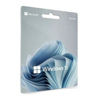 Windows 11 pro