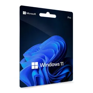 Windows 11 professional plus 