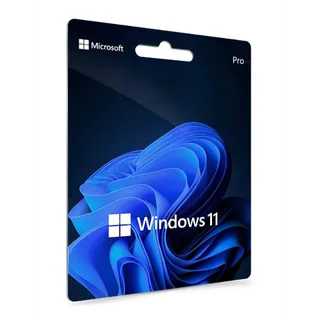 windows 11 pro