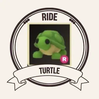 r turtle