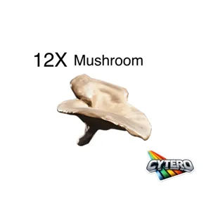 12X Mushroom