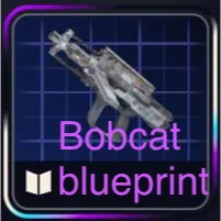 Bobcat Blueprint