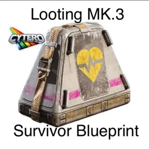 Looting MK3 Survivor…