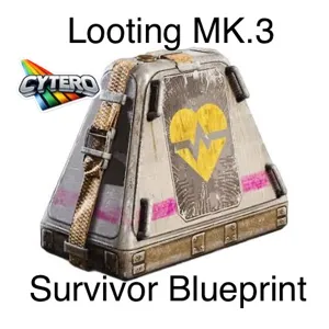 Looting MK3 Survivor B..