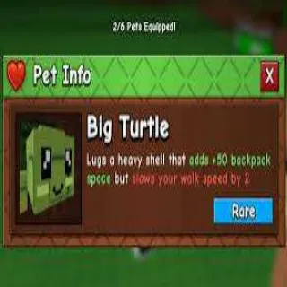 big turtle